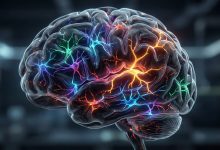 دانشمندان اکنون فهمیده‌اند که قارچ جادویی چگونه افسردگی را درمان می‌کند