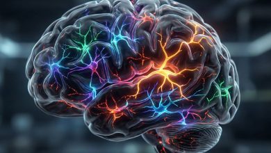 دانشمندان اکنون فهمیده‌اند که قارچ جادویی چگونه افسردگی را درمان می‌کند