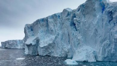 ربات گمشده در قطب جنوب با داده‌های نادر بازگشت