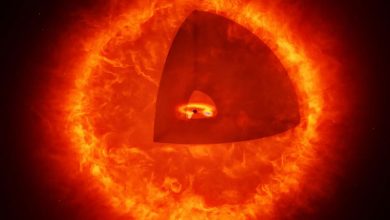 «ستاره سیاهچاله»، هیولای کیهانی جدید در سپیدهدم جهان