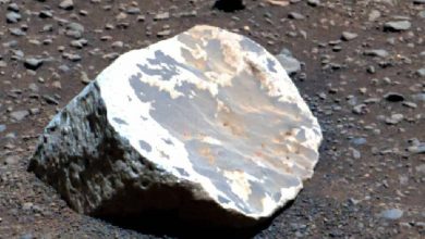 سنگ‌های عجیب مریخ فاش کردند: سیاره سرخ زمانی دنیایی گرمسیری بود