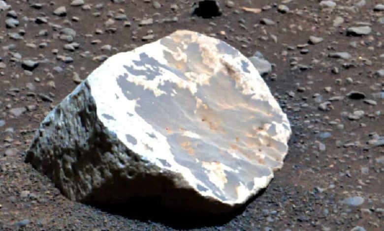 سنگهای عجیب مریخ فاش کردند: سیاره سرخ زمانی دنیایی گرمسیری بود