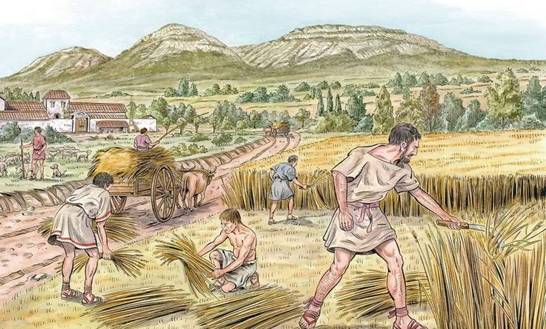 غلات قابل مالیات‌گذاری، راه را برای ایجاد دولت‌های اولیه هموار کردند