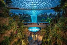 فرودگاه چانگی سنگاپور: معجزه‌ای از جنس شیشه و گیاه؛ فراتر از یک ترمینال، یک باغ شهری هوشمند!