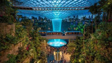 فرودگاه چانگی سنگاپور: معجزه‌ای از جنس شیشه و گیاه؛ فراتر از یک ترمینال، یک باغ شهری هوشمند!