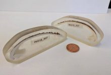 قدیمی‌ترین جانور منفرد دنیا ۵۰۷ سال عمر کرده بود؛ تا آنکه پژوهشگران به اشتباه آن را کشتند