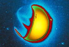 مأموریت جدید ناسا برای کشف هاله نامرئی زمین