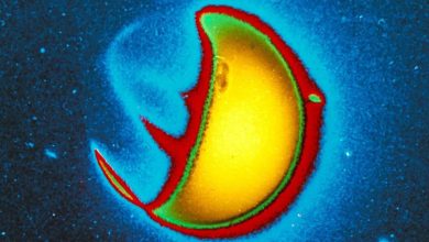 مأموریت جدید ناسا برای کشف هاله نامرئی زمین