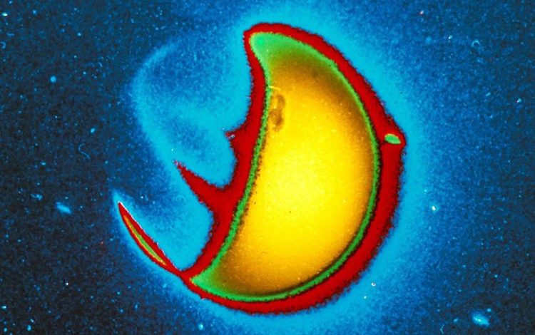 مأموریت جدید ناسا برای کشف هاله نامرئی زمین