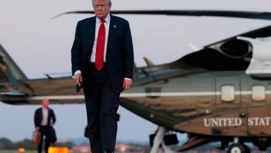 مانع جدید برای مهاجران؛ ترامپ برنامه لاتاری گرین‌کارت را متوقف کرد