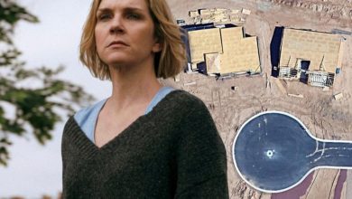 ماهواره‌های گوگل در اطراف زمین، پیام مخفی سریال پلوریبوس را فاش کردند!