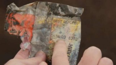 معمای ۴۰ ساله اولین پارک اسکیت اسکاتلند به کمک پوست شکلات حل شد