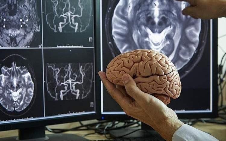 مغز انسان در چهار مقطع کلیدی عمر، بازسازماندهی میشود