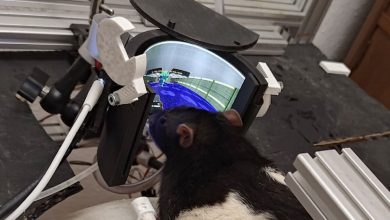 موش‌های گیمر حالا در بازی Doom به دشمنان شلیک می‌کنند!