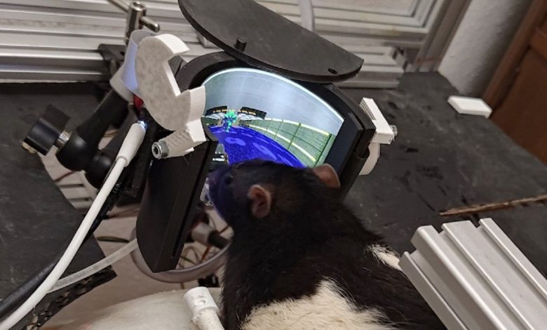 موشهای گیمر حالا در بازی Doom به دشمنان شلیک میکنند!