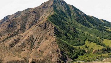 ناهمزمانی فصلی؛ آغاز بهار و پاییز حتی در عرض‌های جغرافیایی یکسان کاملاً متفاوت است