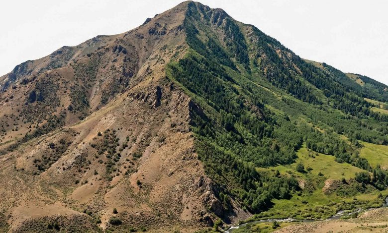 ناهمزمانی فصلی؛ آغاز بهار و پاییز حتی در عرض‌های جغرافیایی یکسان کاملاً متفاوت است