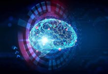 نتیجه پژوهش جانز هاپکینز: معماری مغز، میانبری برای هوش مصنوعی