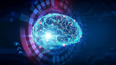 نتیجه پژوهش جانز هاپکینز: معماری مغز، میانبری برای هوش مصنوعی