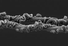 نمای باورنکردنی از تار عنکبوت برنده مسابقه عکاسی انجمن سلطنتی ۲۰۲۵ شد