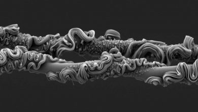 نمای باورنکردنی از تار عنکبوت برنده مسابقه عکاسی انجمن سلطنتی ۲۰۲۵ شد