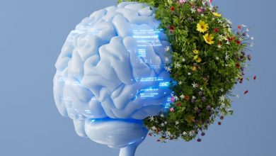 هوش مصنوعی جدید قوانین پنهان طبیعت را کشف می‌کند