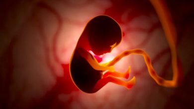 هوش مصنوعی دقت تشخیص مشکلات قلب جنین را افزایش می‌دهد