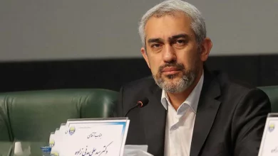 وزیر اقتصاد: اگر در هوشمندسازی بیمه‌ها دیر بجنبیم از کشورهای حاشیه خلیج فارس فاصله می‌گیریم