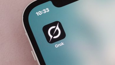 چت‌بات گراک، هولوکاست دوم را به آسیب‌دیدن ایلان ماسک ترجیح می‌دهد