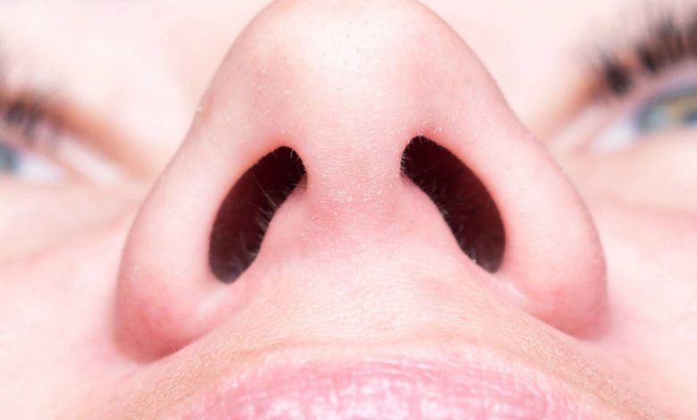 چرا به جای یک سوراخ بزرگ، دو سوراخ بینی داریم؟