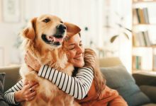 چرا سگ‌های گلدن رتریور مثل ما رفتار می‌کنند؟ پاسخ در ژن‌های مشترک نهفته است