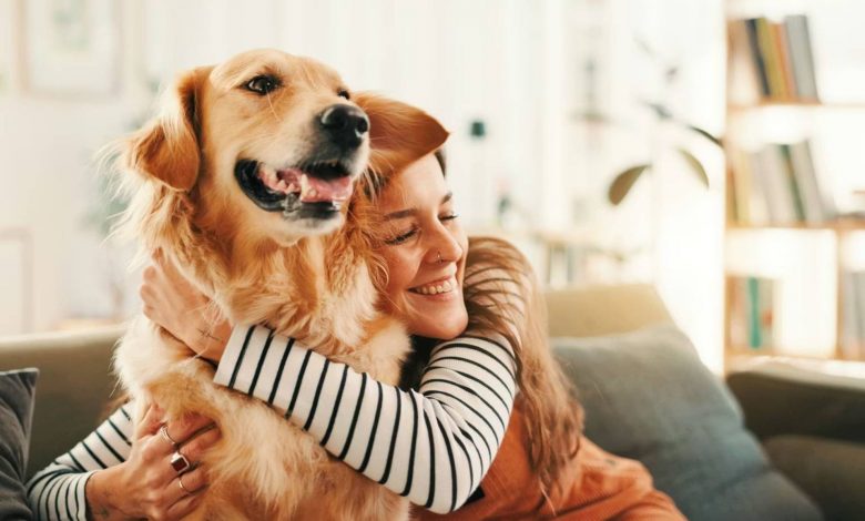 چرا سگهای گلدن رتریور مثل ما رفتار میکنند؟ پاسخ در ژنهای مشترک نهفته است