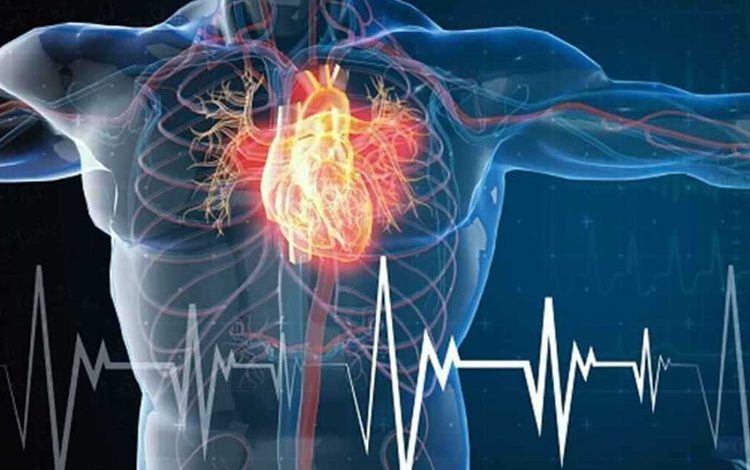 چهار عادت ساده که از حمله قلبی جلوگیری می‌کنند