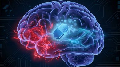 چگونه می‌توان خشونت خانگی را کاهش داد؟ با تجویز داروی ضدافسردگی برای مردان