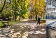 کشف ناهمزمانی فصول: راز تنوع زیستی