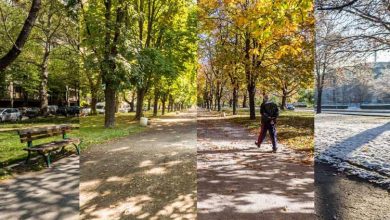 کشف ناهمزمانی فصول: راز تنوع زیستی