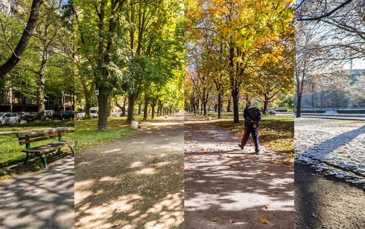 کشف ناهمزمانی فصول: راز تنوع زیستی