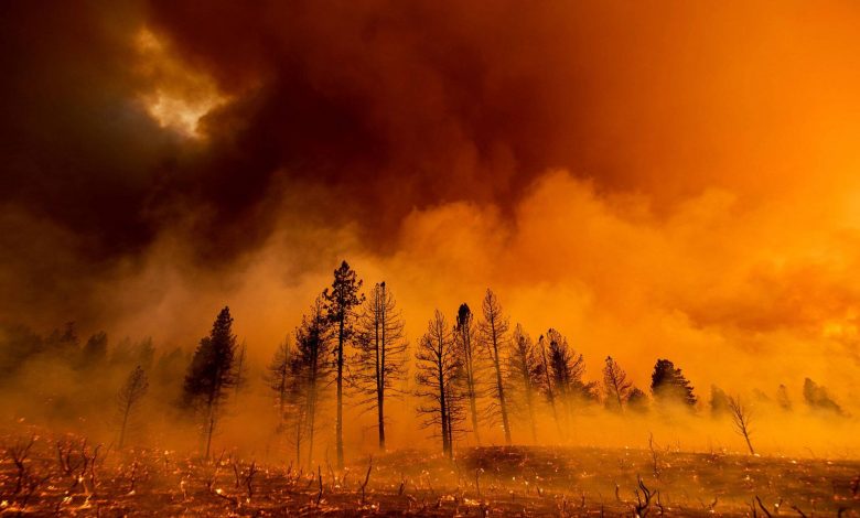 گرمایش زمین همچنان توقفناپذیر؛ ۲۰۲۵ دومین سال گرم ثبتشده در تاریخ بود