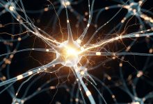 ۱۰ کشف شگفت‌انگیز درباره مغز در سال ۲۰۲۵