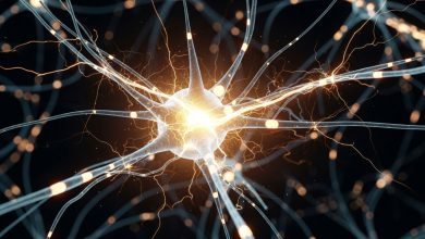 ۱۰ کشف شگفت‌انگیز درباره مغز در سال ۲۰۲۵