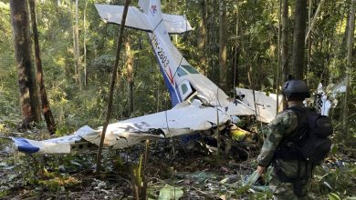 ۴۰ روز در آمازون؛ ۴ کودکی که از سقوط هواپیما جان سالم به در بردند