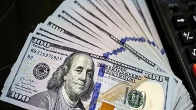 ارز ترجیحی نهاده‌ها و کالاهای اساسی رسما حذف شد