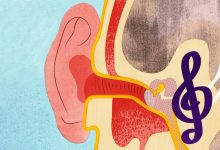 رازهای مغز: چرا آهنگ‌ها در ذهن شما گیر می‌کنند؟