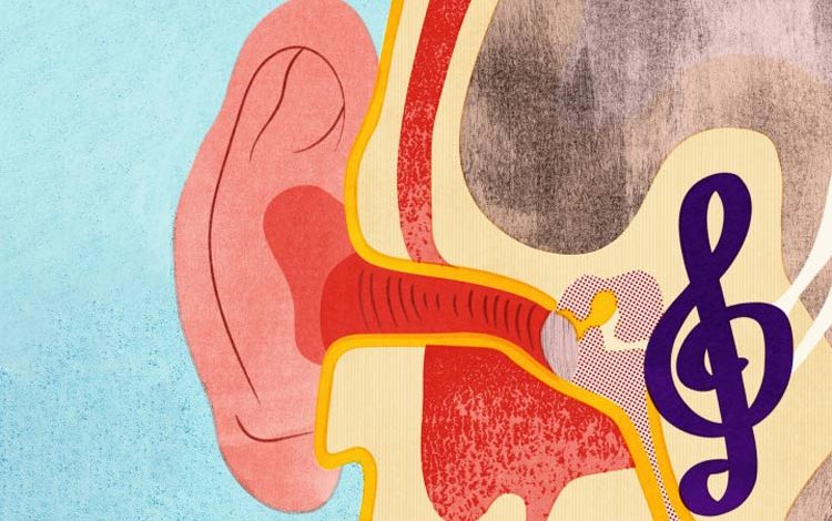 رازهای مغز: چرا آهنگها در ذهن شما گیر میکنند؟