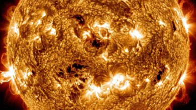 قطر خورشید تقریباً صد برابر زمین است؛ پس چرا «ستاره کوتوله» نامیده می‌شود؟