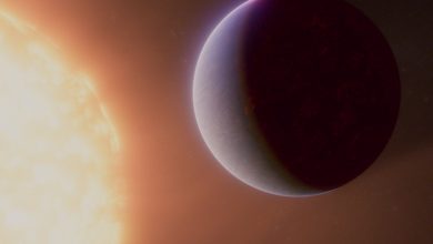 مأموریت جدید ناسا برای کشف «هاله» نامرئی زمین و تأثیر آن بر پیش‌بینی وضعیت فضا