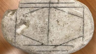 آیا رومیان هزاران سال پیش بازی رومیزی داشتند؟ هوش مصنوعی پاسخ می‌دهد