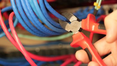 ادعای قاتل ملیکا دادپور: قطعی اینترنت مرا به دزدی کشاند