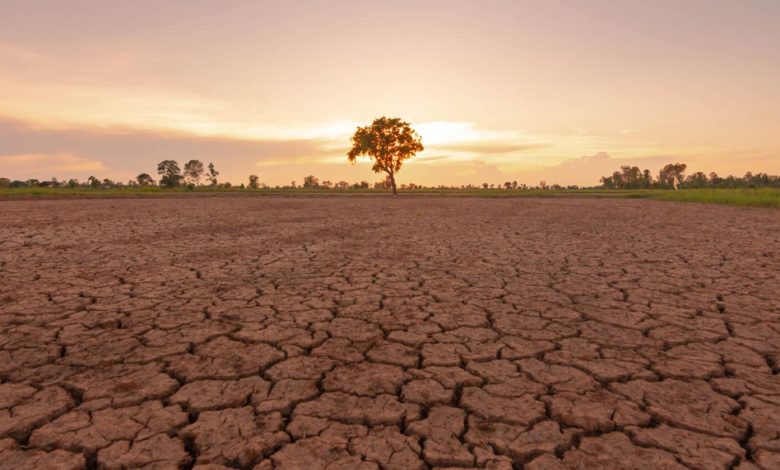 ال‌نینو تابستان آینده بازمی‌گردد؛ خشکسالی و سیلاب‌های بیشتر احتمالاً درپیش است