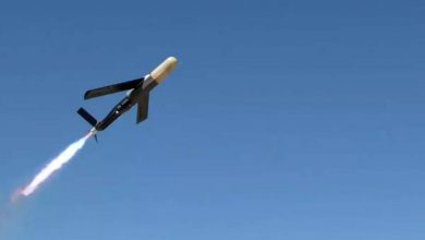 تماشا کنید: پهپاد آمریکایی کایوت با سلاح الکترومغناطیسی اهداف پهپادی را سرنگون می‌کند